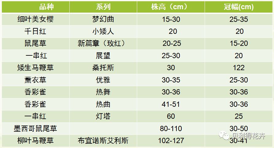 2024天天开彩免费资料,高效性实施计划解析_V243.481