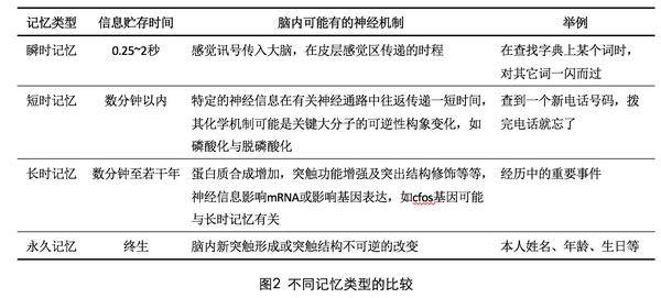 一肖100%中,历史资料规律分析_钻石版94.419