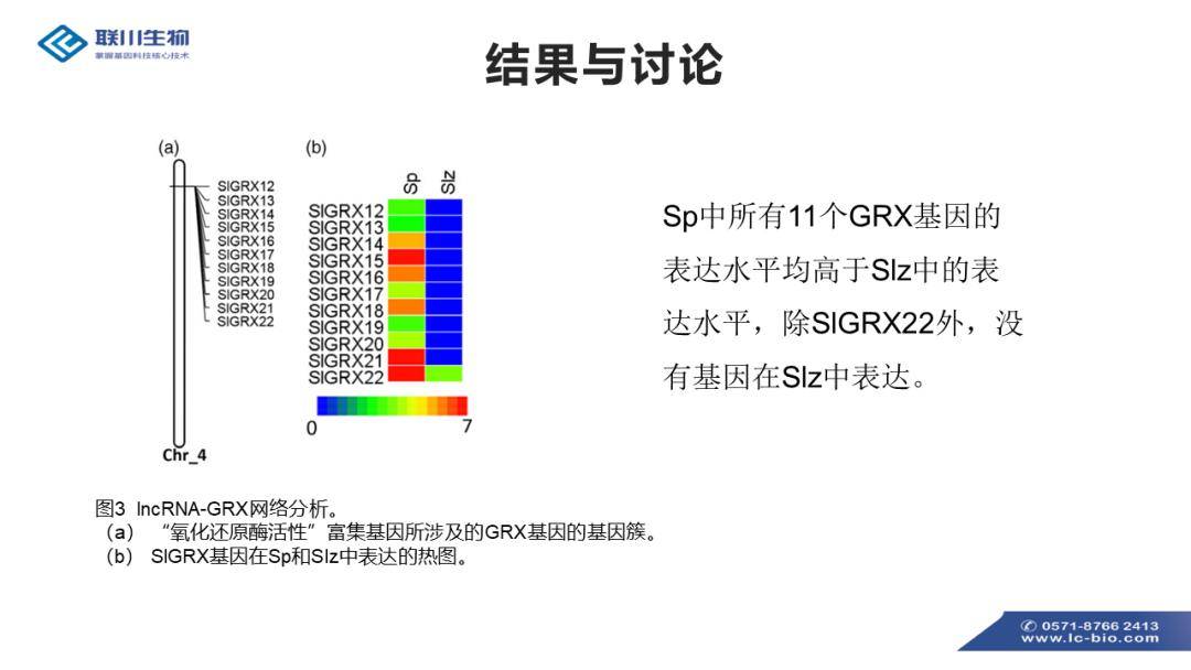 118资料大全图库｜调整细节执行方案_36091.103