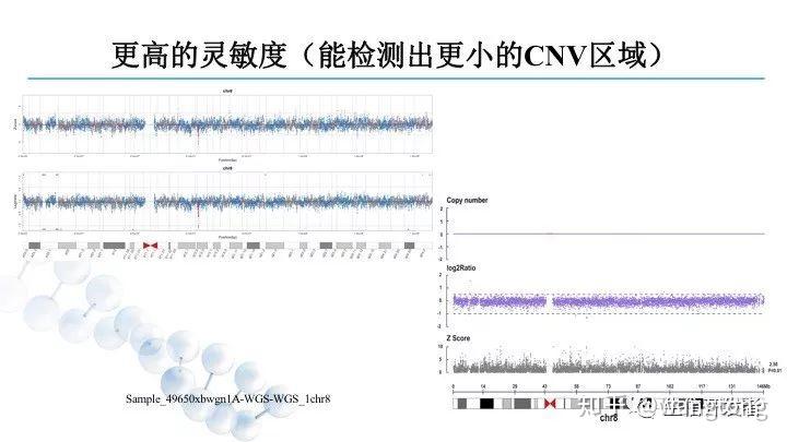 7777788888精准新传真112,数据导向策略实施_静态版15.972