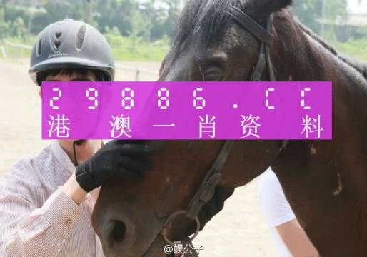 澳门一肖一码一必中一肖同舟前进,正确解答落实_GM版14.443