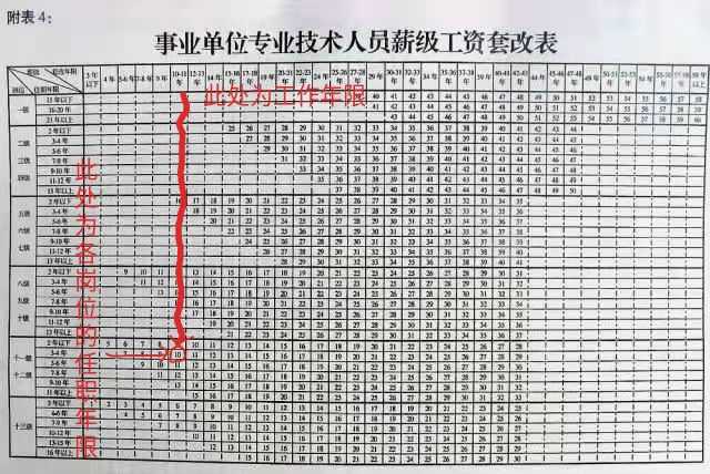 信息技术岗事业编，探索未来的职业道路