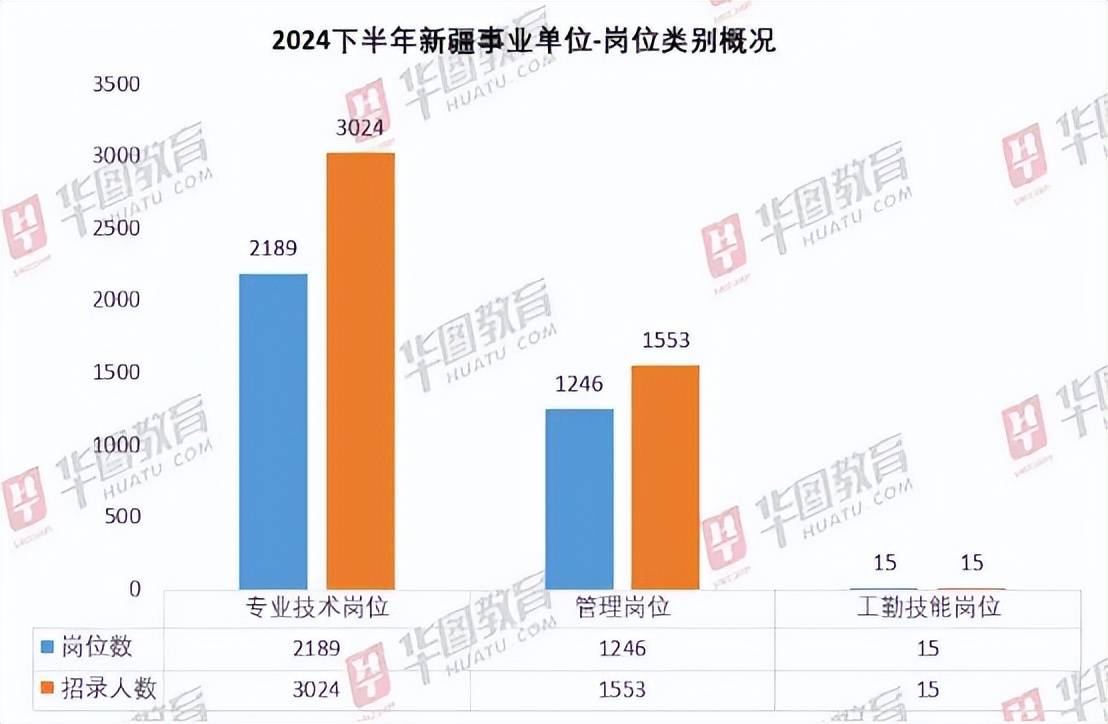 2024新疆事业编制招聘岗位表