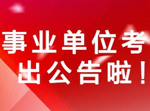 事业单位教师招聘启动，报名、考试及面试细节